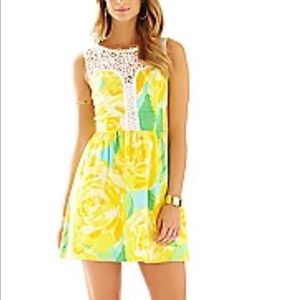 Lilly Pulitzer Raegan Fit and Flare Dress